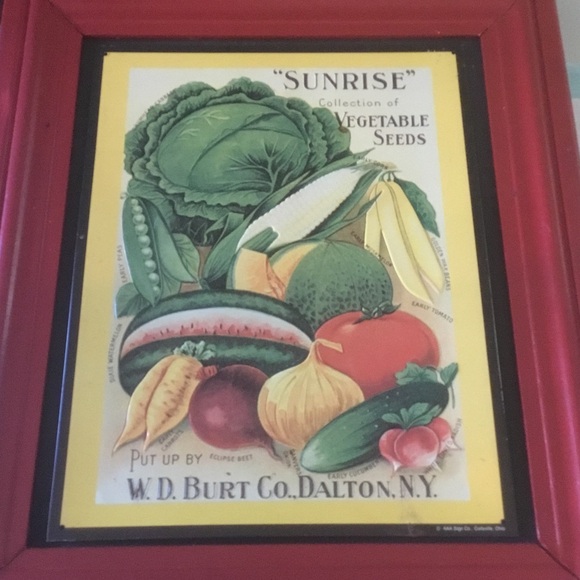 Framed Vintage Metal Vegetable Seed Advertisement - Picture 1 of 3